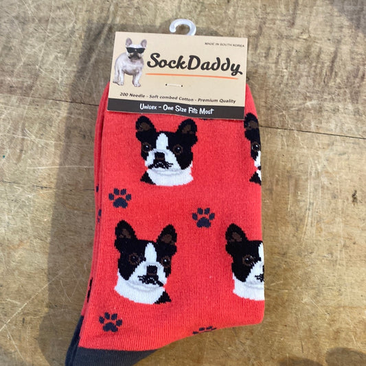 boston terrier socks