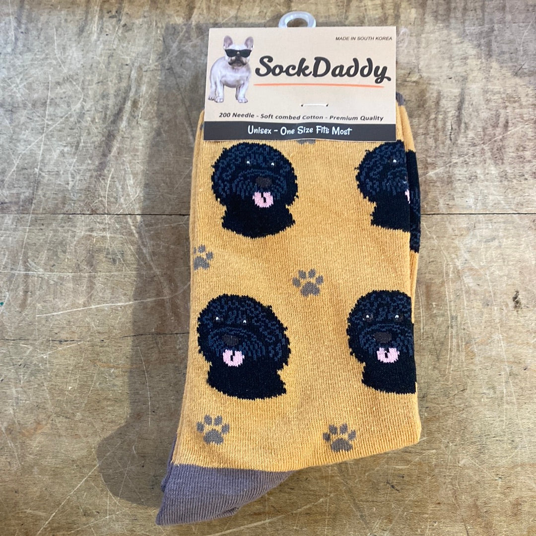 labradoodle black socks