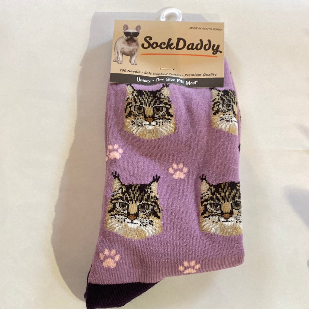 Maine Coon Socks