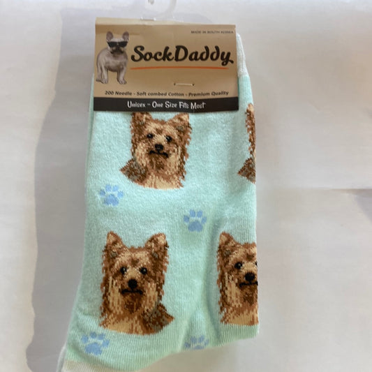 Yorkie Socks