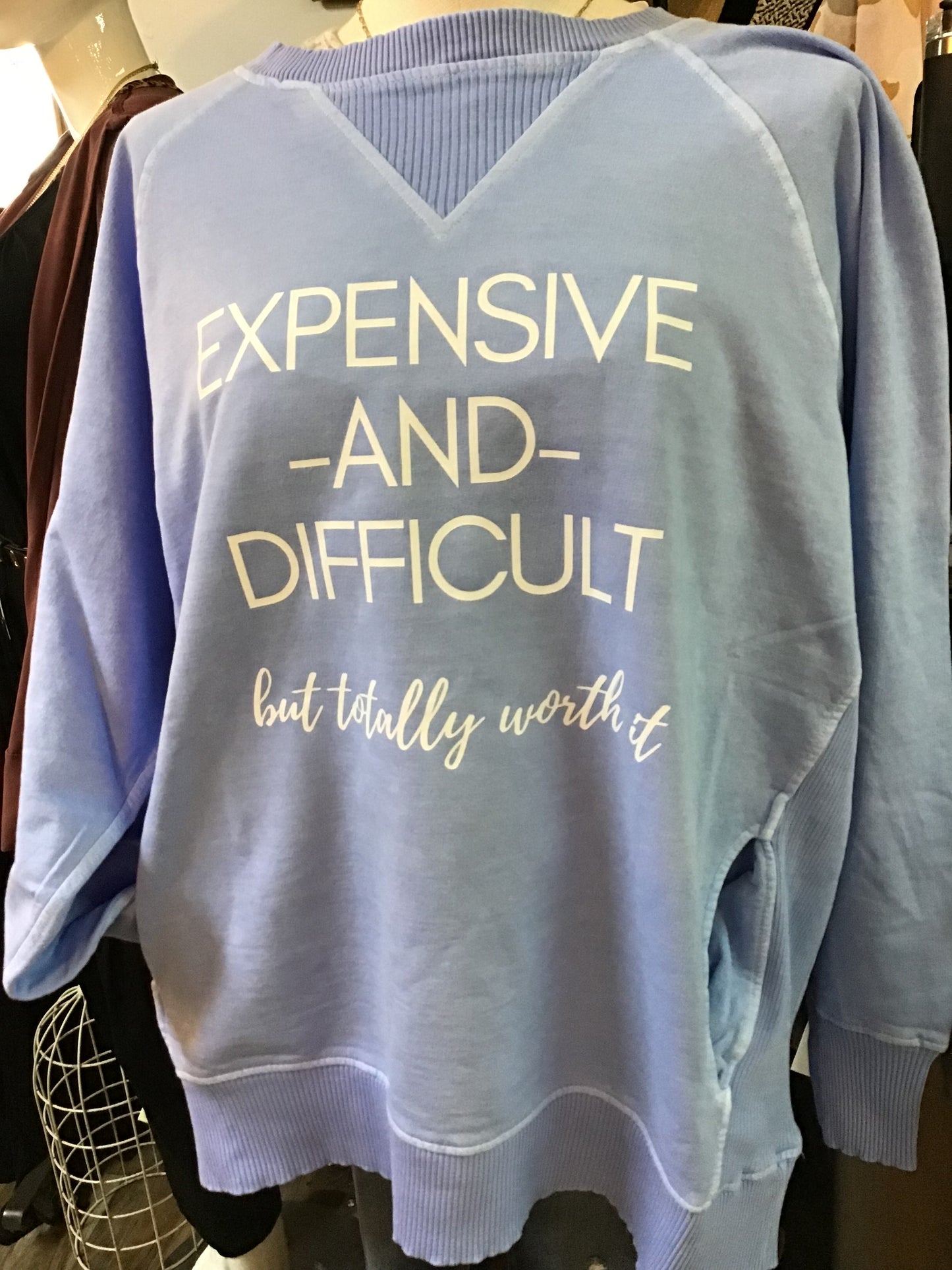 Light Periwinkle Expensive & Difficult Sweatshirt
