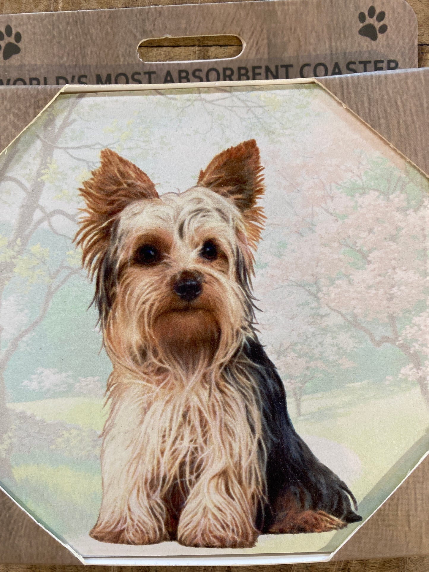 Yorkie Sitting Stone Coaster