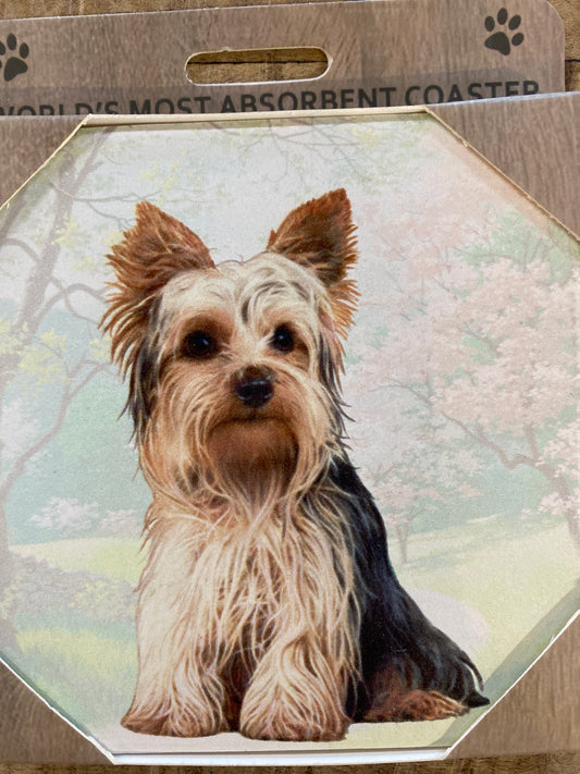 Yorkie Sitting Stone Coaster