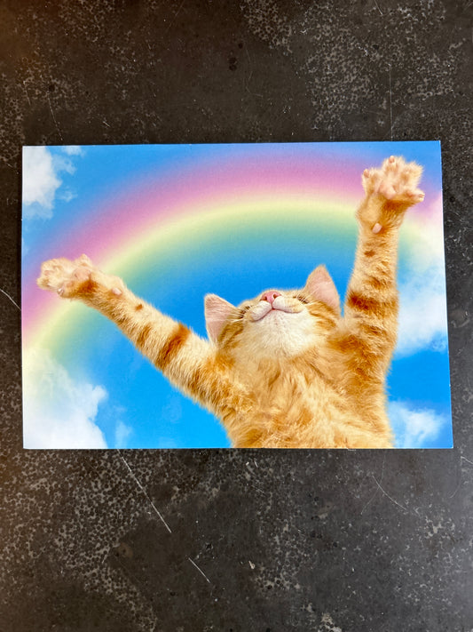 Reach For the Sky Greeting Card