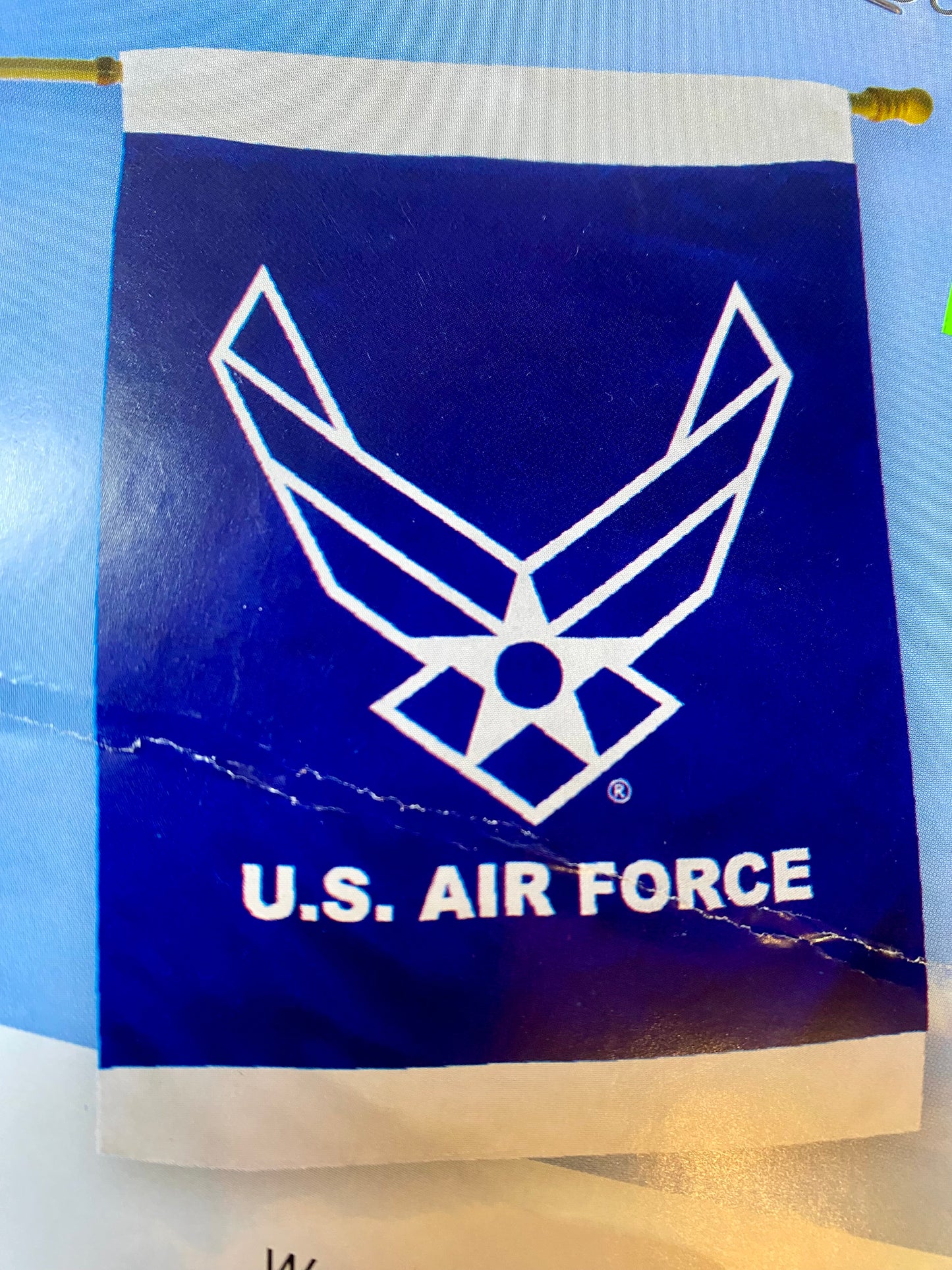 US AIR FORCE WINGS FL