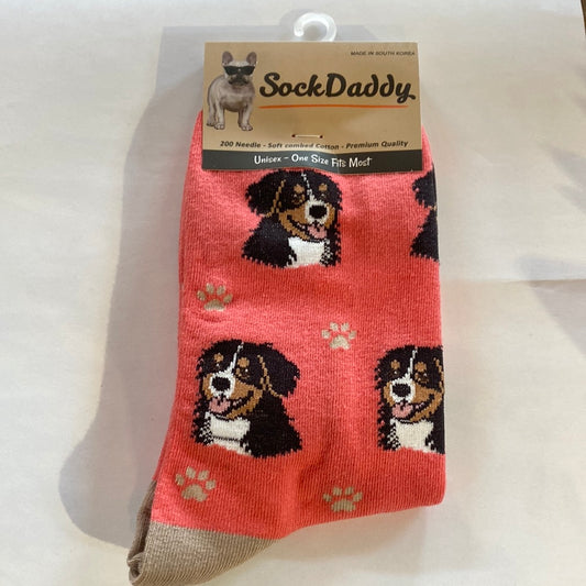 bernese mt dog socks