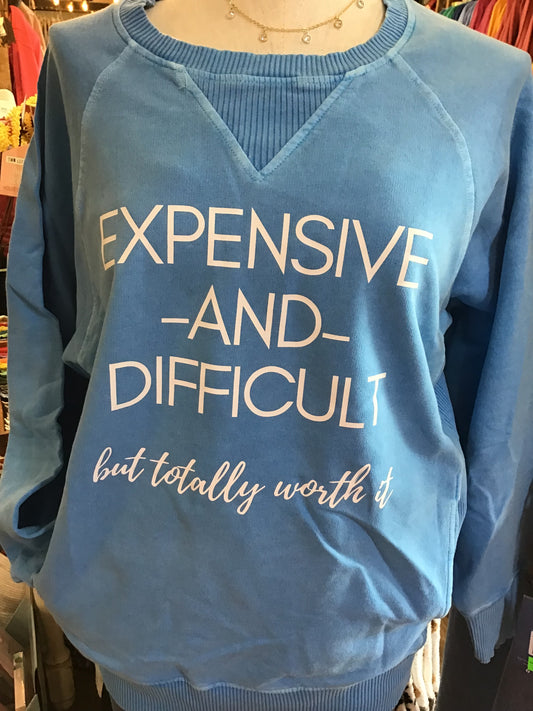 LIGHT BLUE EXPENSIVE & DIFFICULT SWEATSHIRT