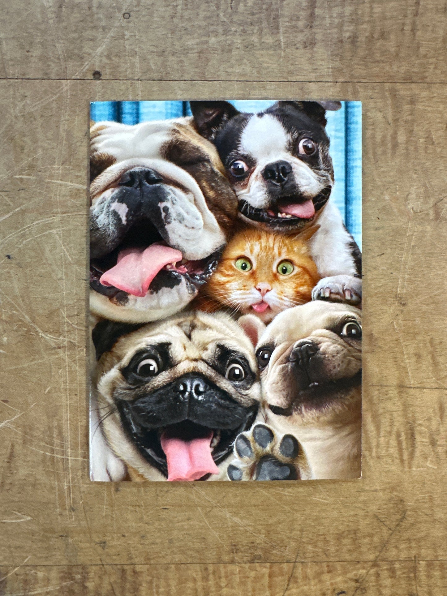 Group Hug Card