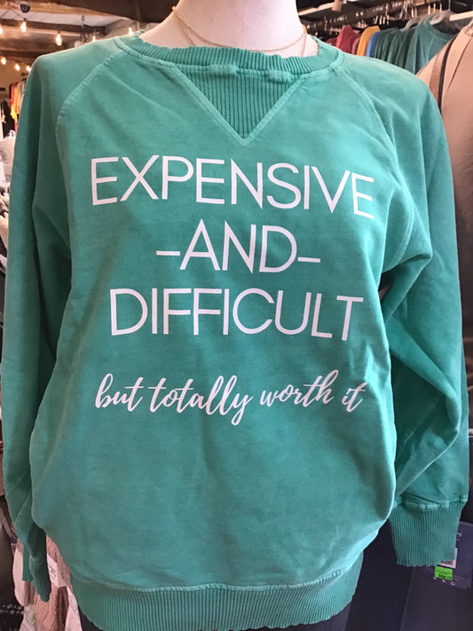 Expensive and Difficult Sweatshirt (Teal)