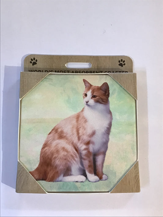 Orange and White Cat Sitting Stone Coaster