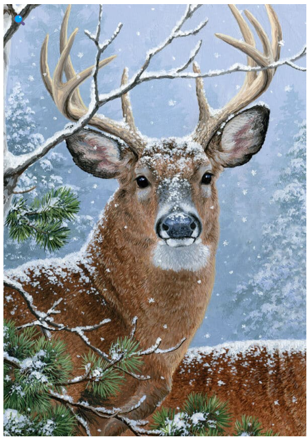 Winter Whitetail Flag