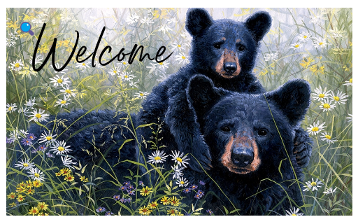 Black Bear Lookout-Floor Mat