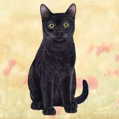 Black Cat Sitting Stone Coaster