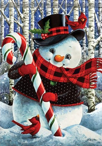 Frosty Holiday Dura Soft™ Flag