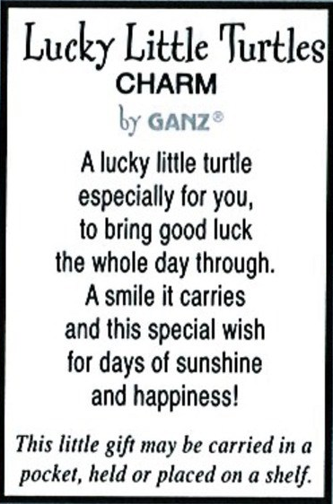 Lucky Little Turtle Charm