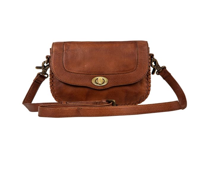 Lobeth Accent Hairon and Leather Bag S-8152