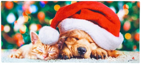 Santa Puppy and Kitten Sassafras Switch Mat