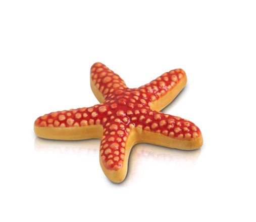 Sea Star Mini Nora Fleming