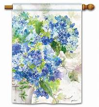 Blue Hydrangeas FL