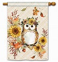 Autumn Owl FL 2022