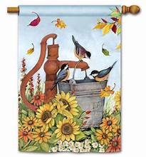 Water Bucket Birds FL