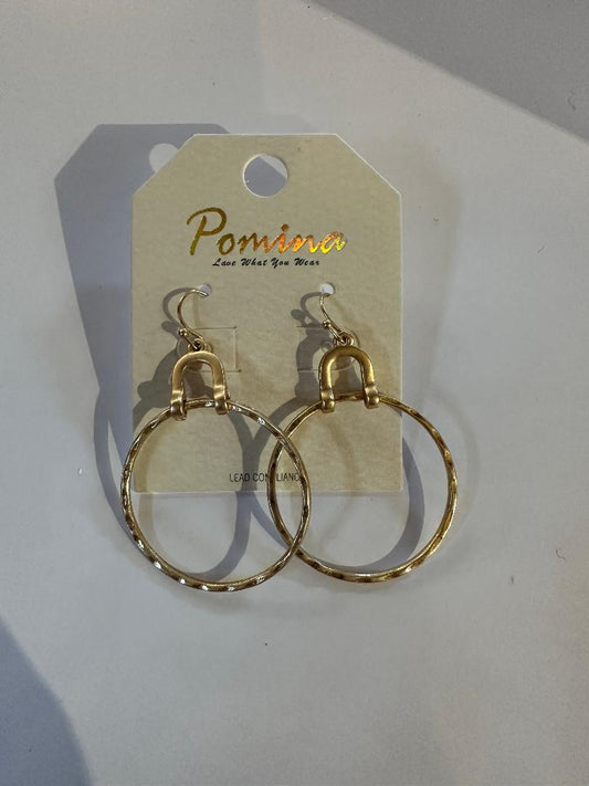 Horseshoes and Hoops Earrings