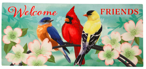 Welcome Friends Sassafras Switch Mat