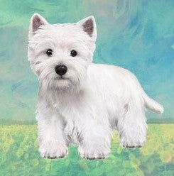 Westie Standing Stone Coaster