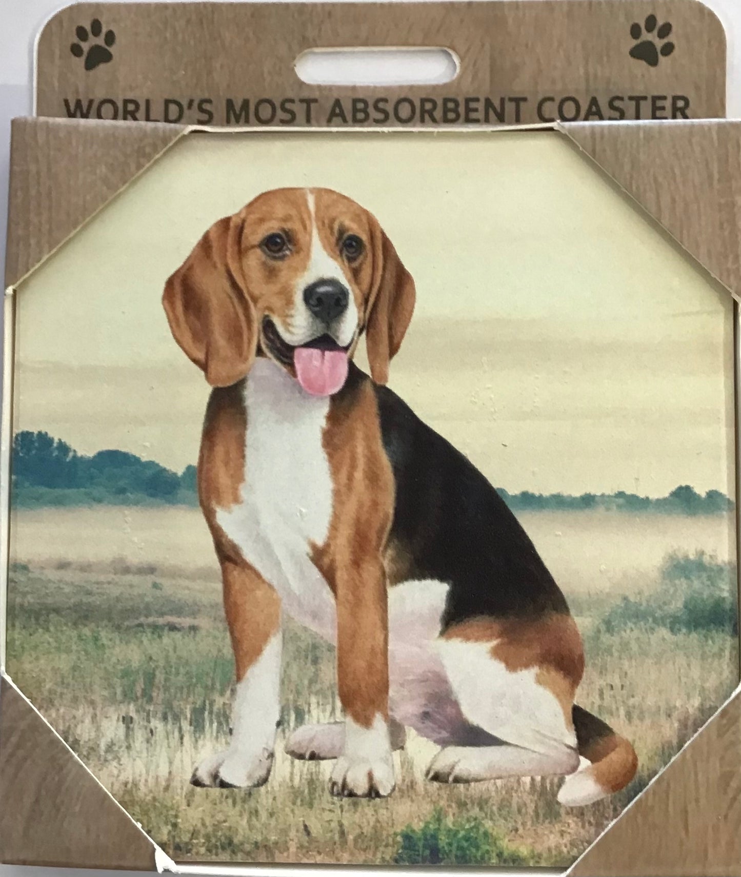 Beagle Sitting Stone Coaster