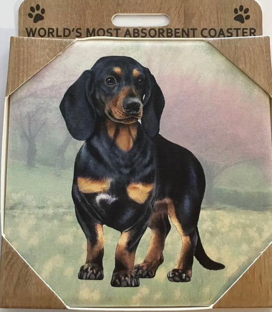 Dachshund Black and Tan Standing Stone Coaster