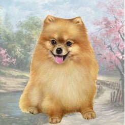 Pomeranian Sitting Stone Coaster