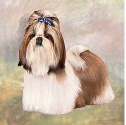 Shih Tzu Standing Stone Coaster