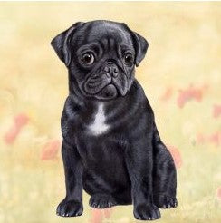 Black Pug Sitting Stone Coaster