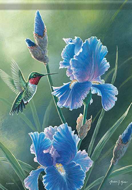 Blue Iris Hummingbird Dura Soft™ Flag