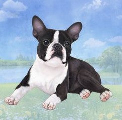 Boston Terrier Laying Stone Coaster