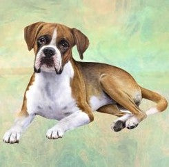 Boxer Laying Sitting Stone Coaster