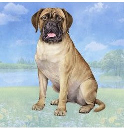 Bullmastiff Sitting Stone Coaster