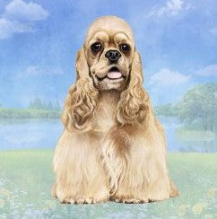 Cocker Spaniel Sitting Stone Coaster