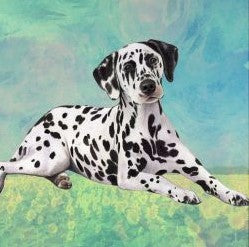 Dalmatian Laying Stone Coaster