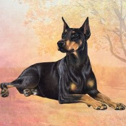 Doberman Laying Stone Coaster