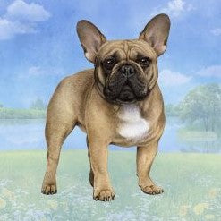 French Bulldog Standing Stone Coaster