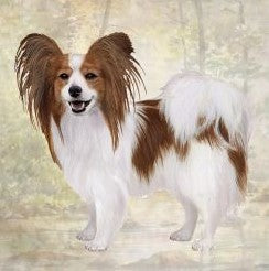 Papillon Standing Stone Coaster