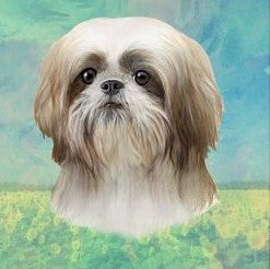 Shih Tzu Portrait Standing Stone Coaster