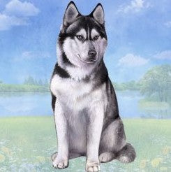 Siberian Husky Sitting Stone Coaster